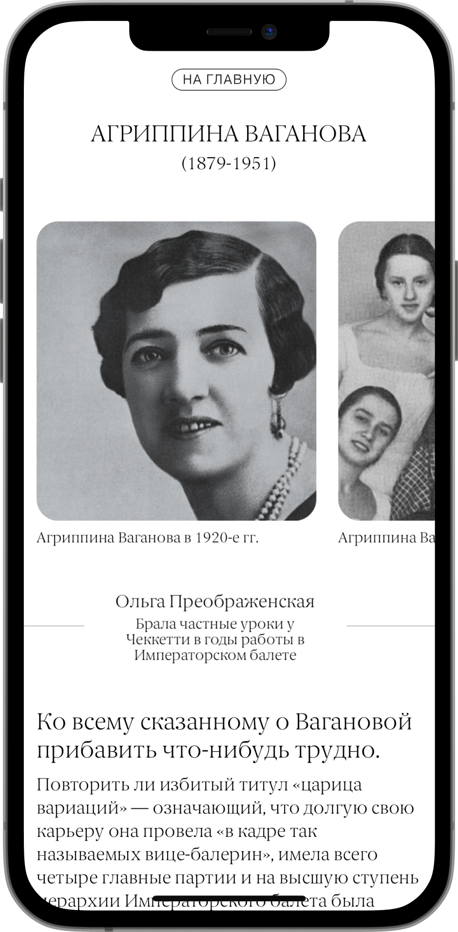 Экран энциклопедии на телефоне