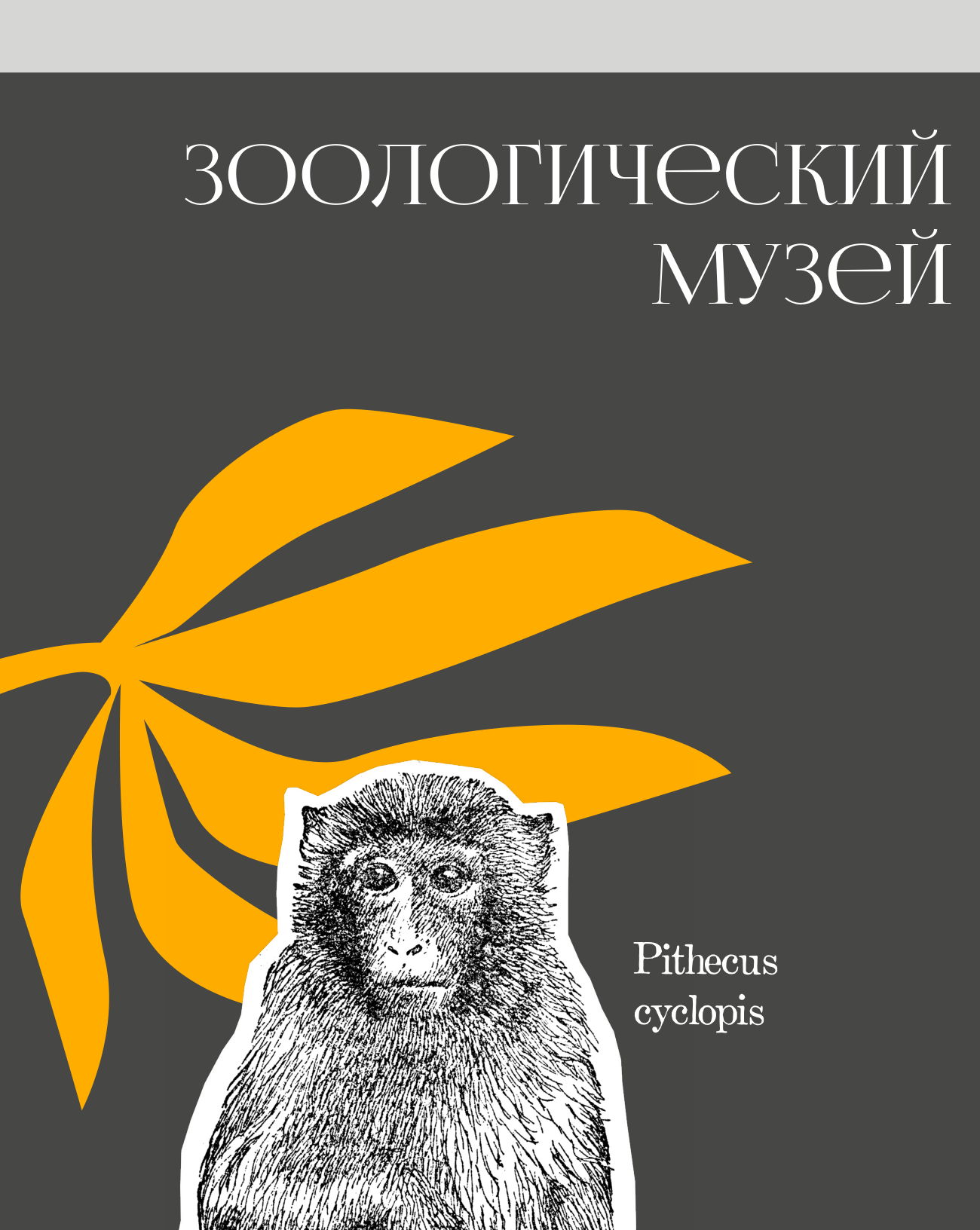 Дверная вывеска — вход, оранжевый